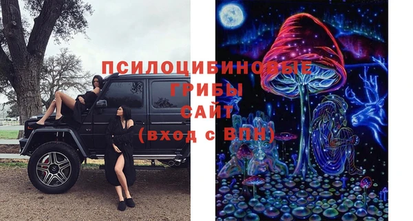 сатива Алексин
