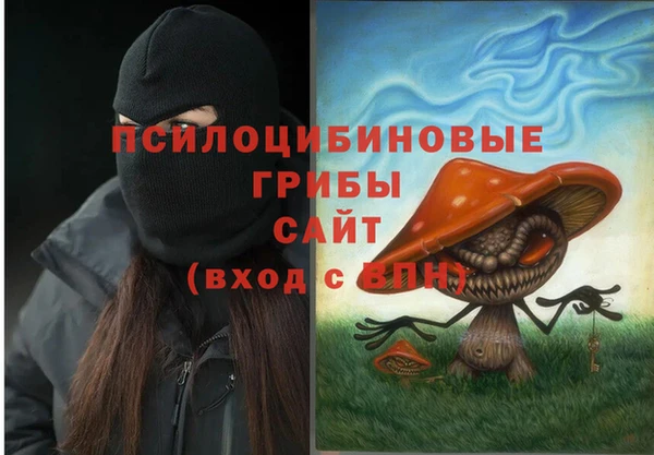 PSILOCYBIN Абаза