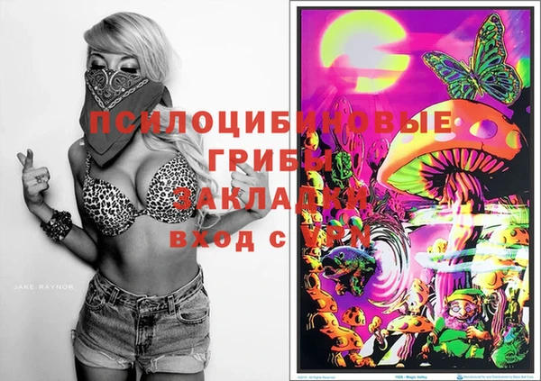 прущие крисы Алзамай